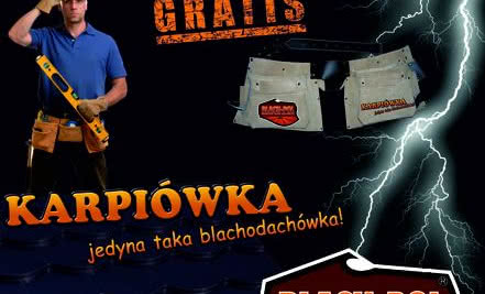 Blach-Pol - promocja dla dekarzy!